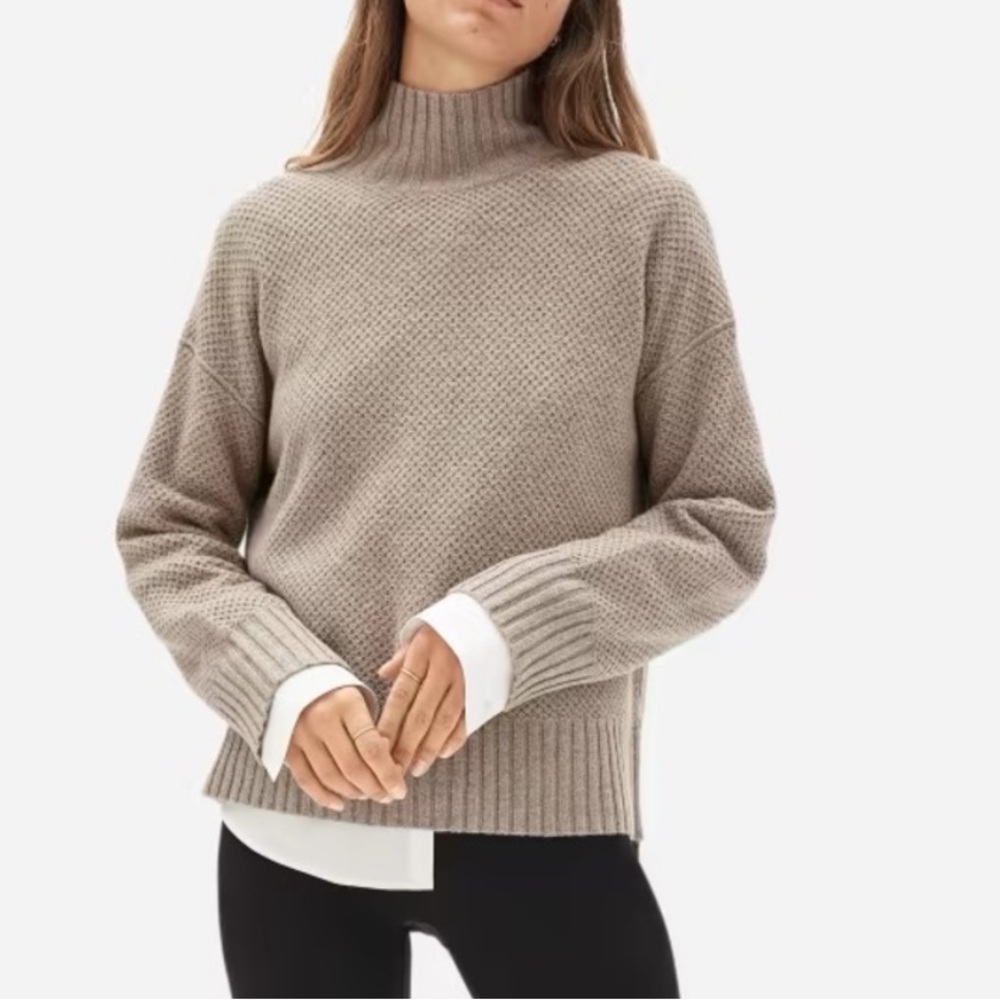 Everlane Taupe Turtleneck Sweater